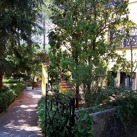 Pini * Selva Di Fasano
