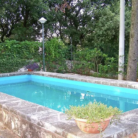 Pini Selva Di Fasano